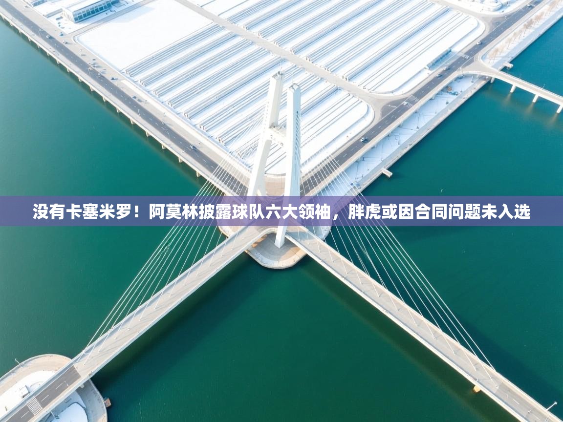 没有卡塞米罗!阿莫林披露球队六大领袖,胖虎或因合同问题未入选 第2张