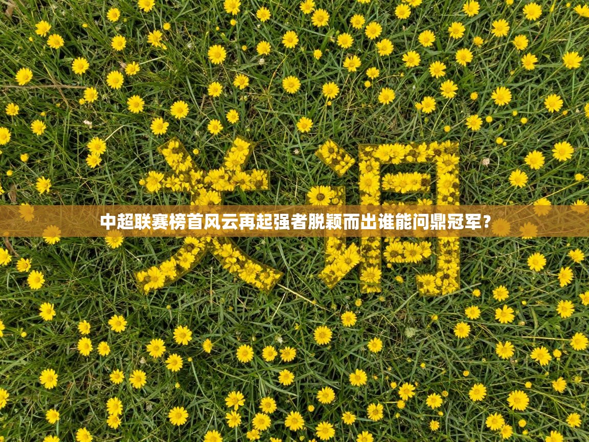 中超联赛榜首风云再起强者脱颖而出谁能问鼎冠军？  第1张